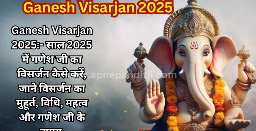 ganesh visarjan 2025
