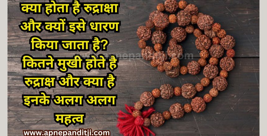 rudraksha (1)