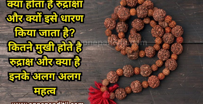 rudraksha